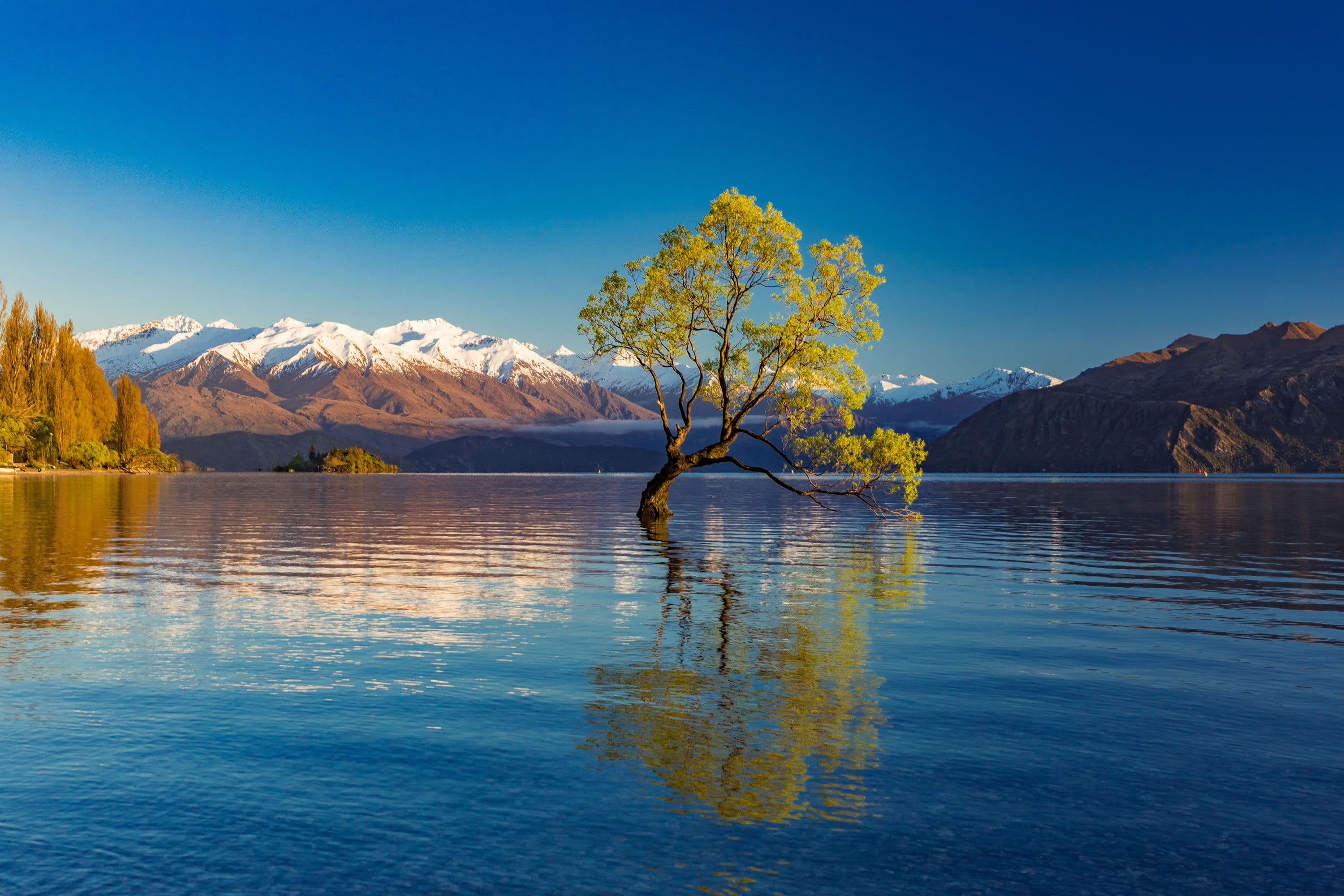 Central Otago Region
