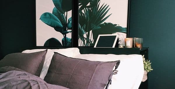 nature interior