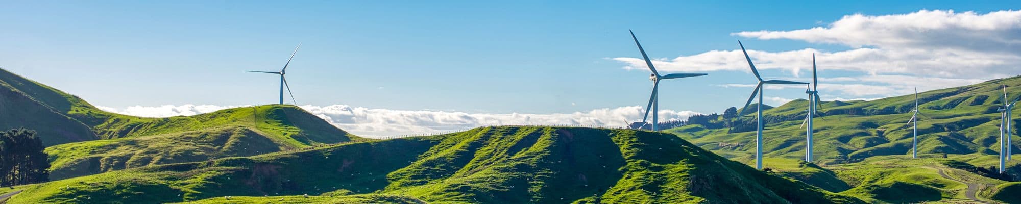 Manawatu Region