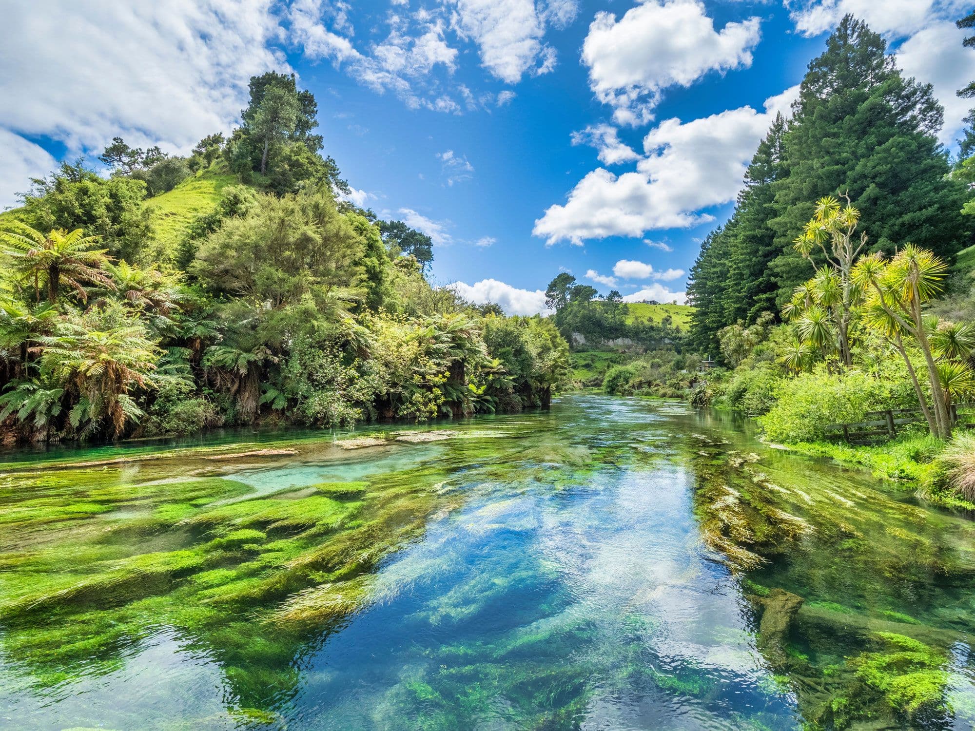 South Waikato Region