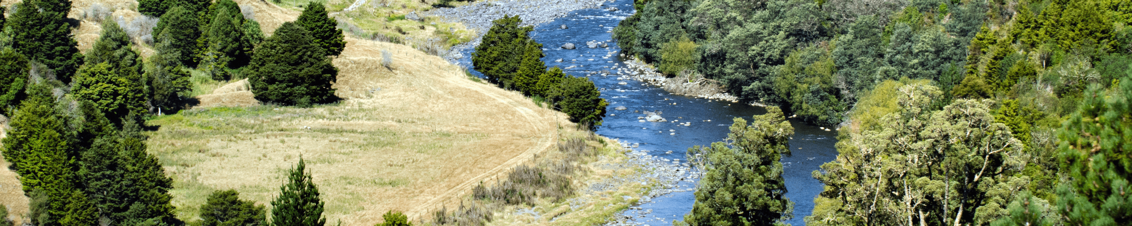 Taumarunui