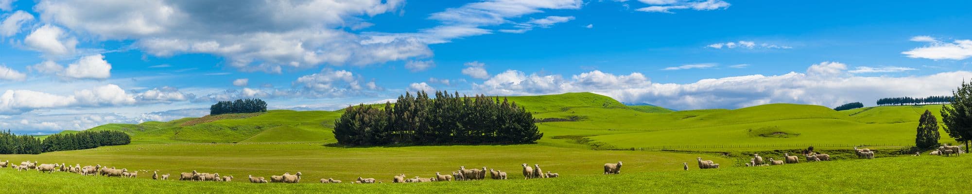 Waikato Region