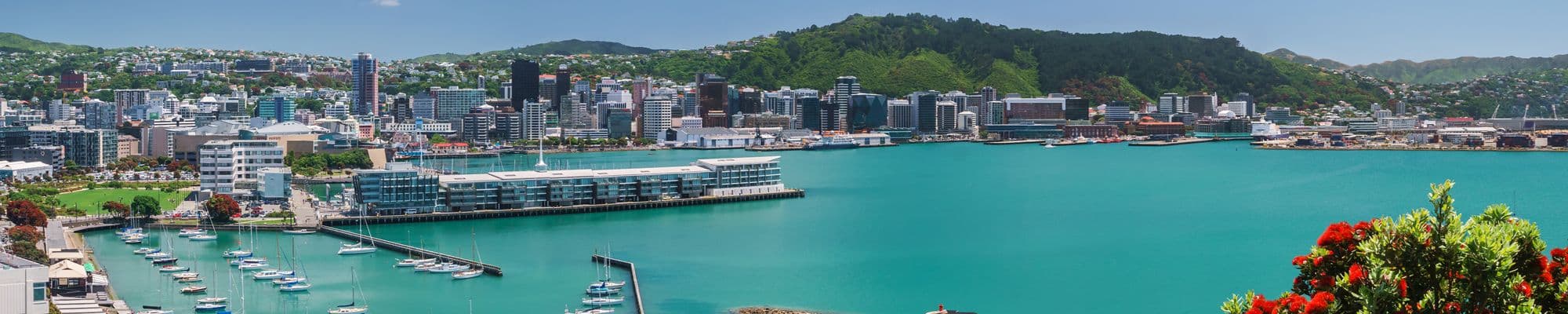 Wellington / Wairarapa Region