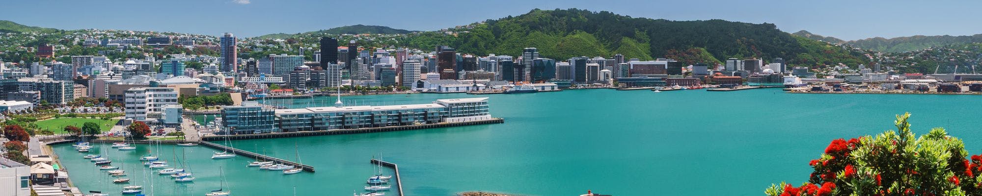 Wellington / Wairarapa