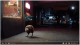 Latitude tv ad still